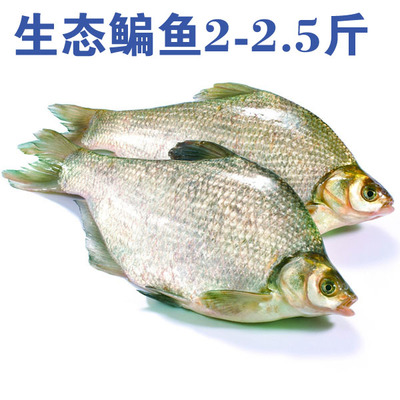 聯(lián)華易購OK卡 精選生鮮冷凍冷藏海鮮水產(chǎn)，鮮美直達(dá)您的餐桌