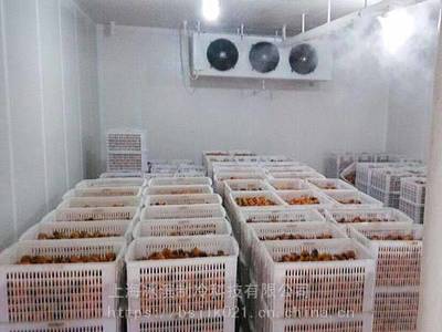 果蔬保鮮冷藏酒店冷庫設計建設水產海鮮冷凍庫牛羊肉制品速凍庫
