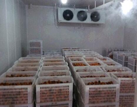 鄭州保鮮冷庫出租 水產(chǎn)品冷庫租賃